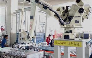 ������Խ��ɷ��״���������е�ˡ���ʽͶ������