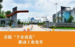 ��ϲѶ��������Խ��ɷ���ѡ2020�����ʡ��ǧ��ˢ�¡�����