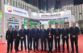 ������Խ��ɷ�����2024�й��׸���չ����